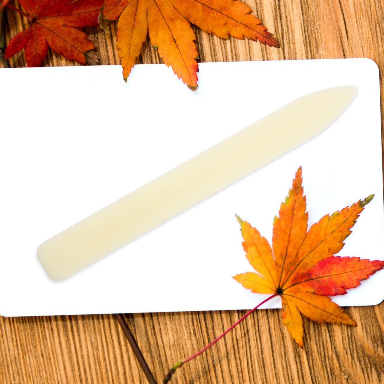 5 pcs Plastic Bone Folder Pape - огляд і ціна Bone Folder Tool